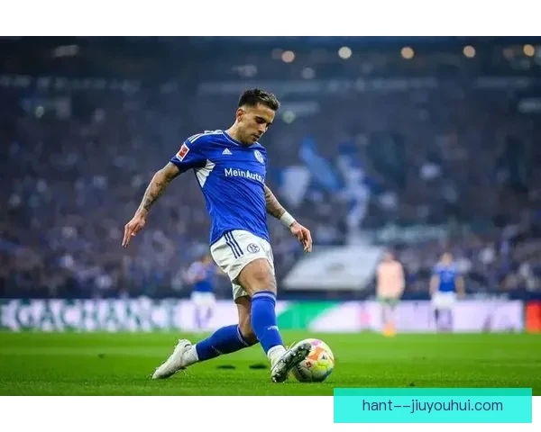 沙尔克04宣布财务状况扭亏为盈标志着球队复苏新阶段